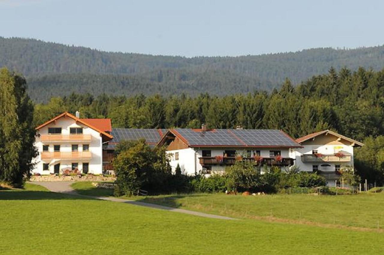 Exenbacher Hof - Pension Hotel Arnbruck Exterior foto